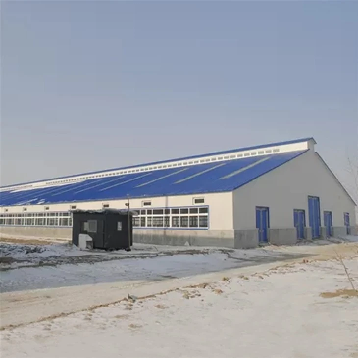 Prefabricated industrial building workshop4